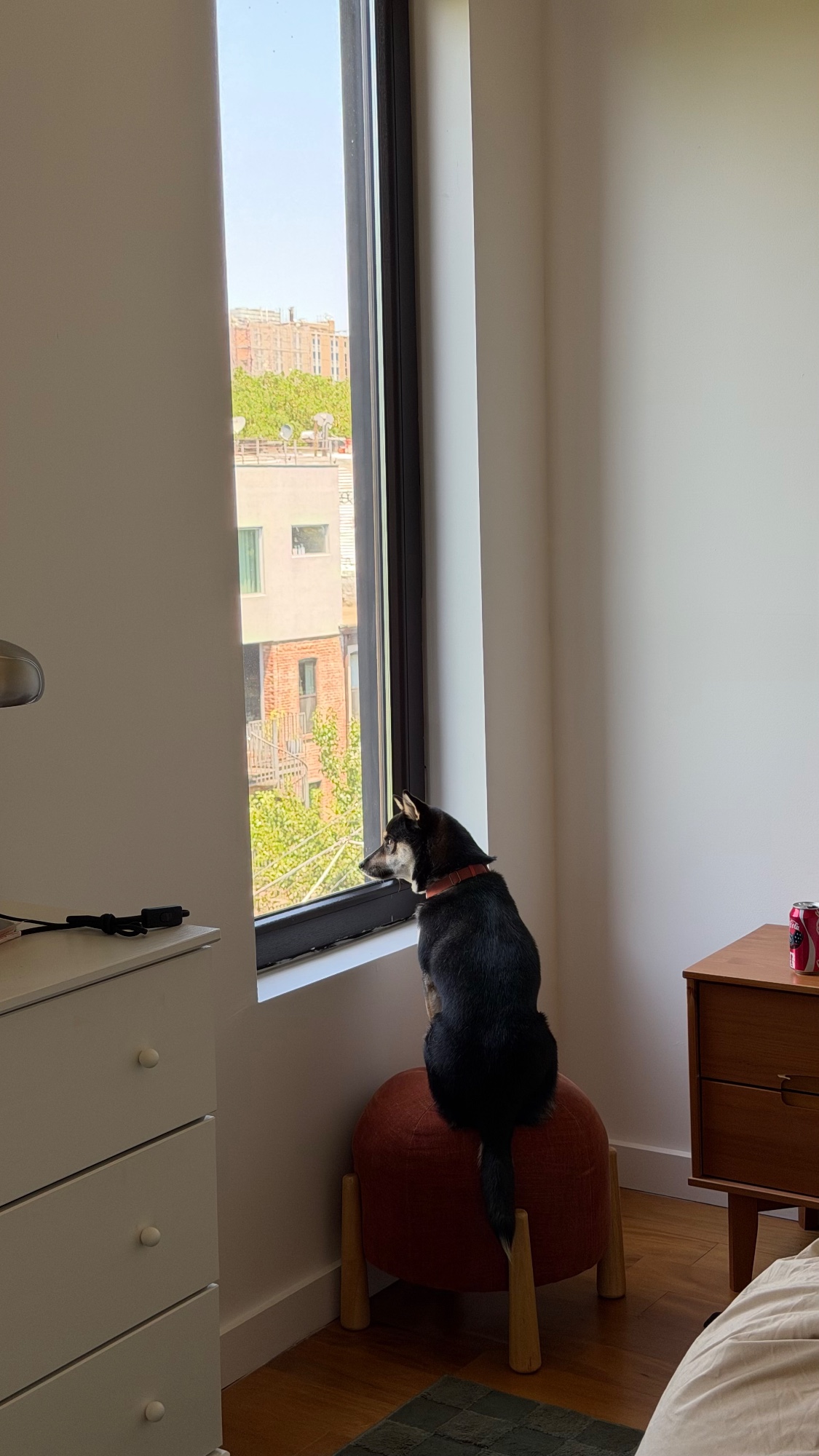 Sierra sitting on an ottoman looking out a Brooklyn window